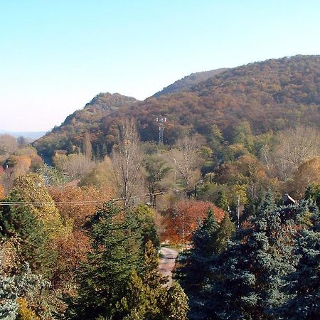 Vadregeny Panzio Bed & Breakfast เอสแตร์กอม ภายนอก รูปภาพ