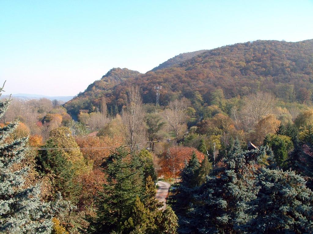 Vadregeny Panzio Bed & Breakfast เอสแตร์กอม ภายนอก รูปภาพ